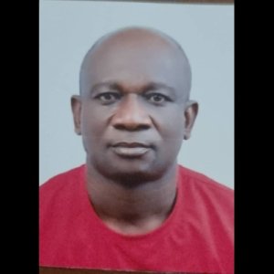 Peter U. Aniekwe