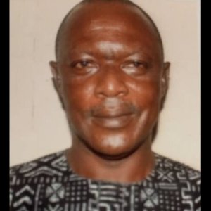 Olufemi Ogunbanwo