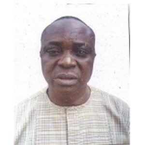 Adelegbe Emmanuel Oluwatimehin